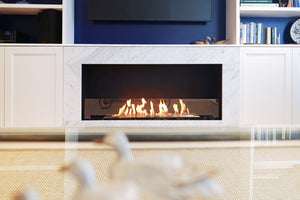 Flex 50SS Single Sided Fireplace Insert - ExpertFires